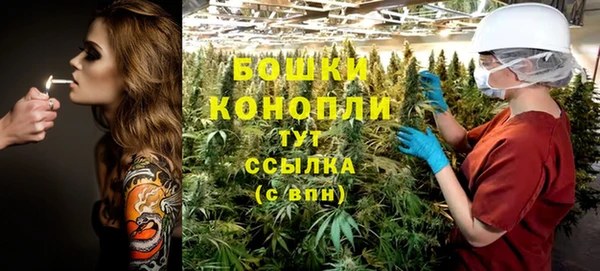 PSILOCYBIN Верхний Тагил